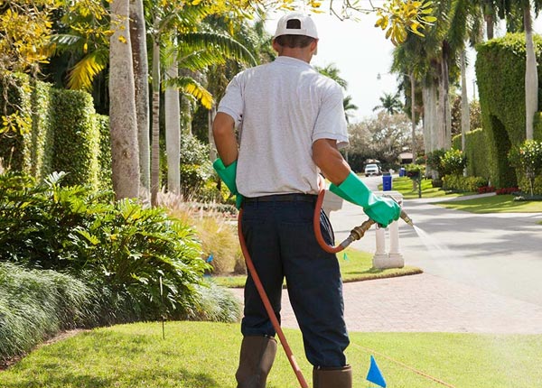 About Toledo OR Pest Control Pros